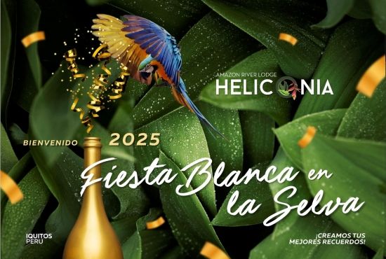 AÑO NUEVO  2025